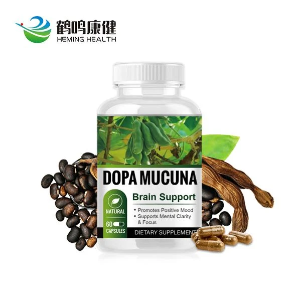 Dopa Mucuna Beyin Desteği